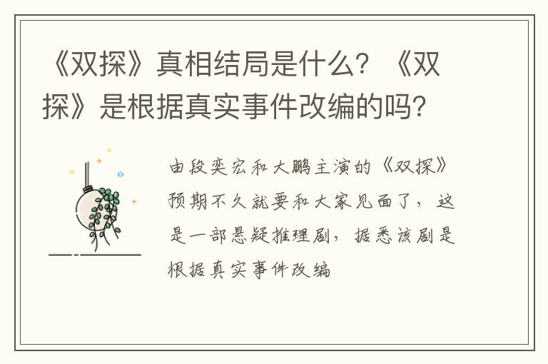 《双探》是根据真实事件改编的吗 《双探》真相结局是什么
