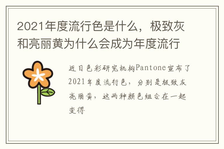极致灰和亮丽黄为什么会成为年度流行色 2021年度流行色是什么