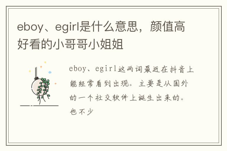 颜值高好看的小哥哥小姐姐 eboy、egirl是什么意思