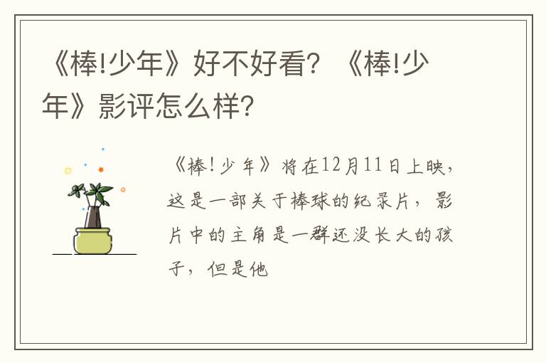 《棒!少年》影评怎么样 《棒!少年》好不好看