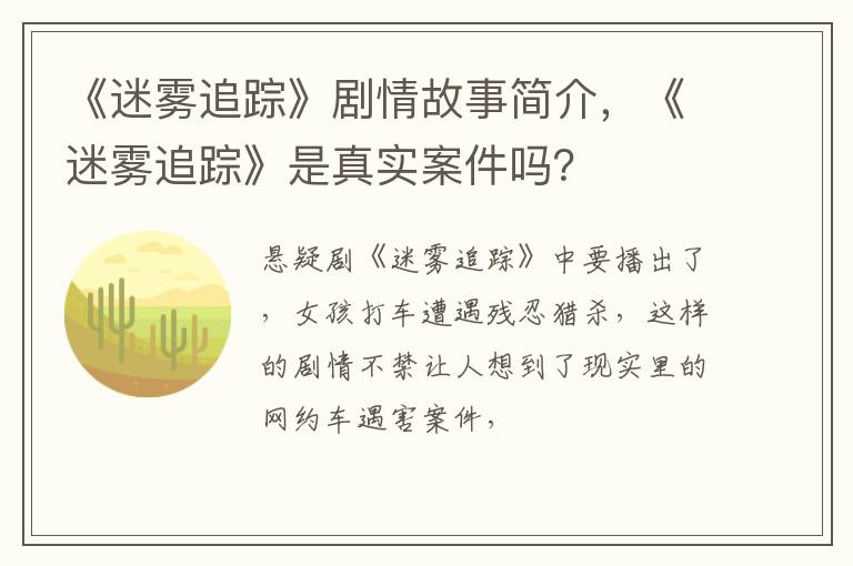 《迷雾追踪》是真实案件吗 《迷雾追踪》剧情故事简介