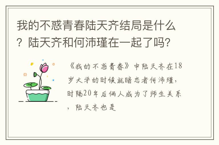 陆天齐和何沛瑾在一起了吗 我的不惑青春陆天齐结局是什么