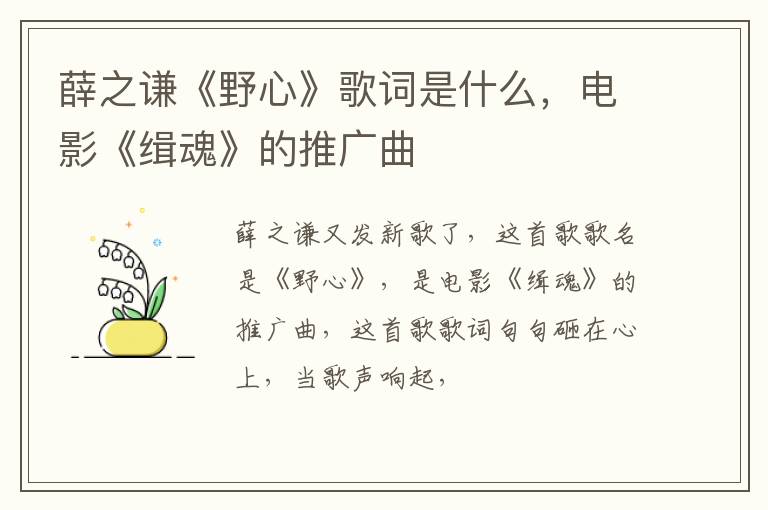 电影《缉魂》的推广曲 薛之谦《野心》歌词是什么