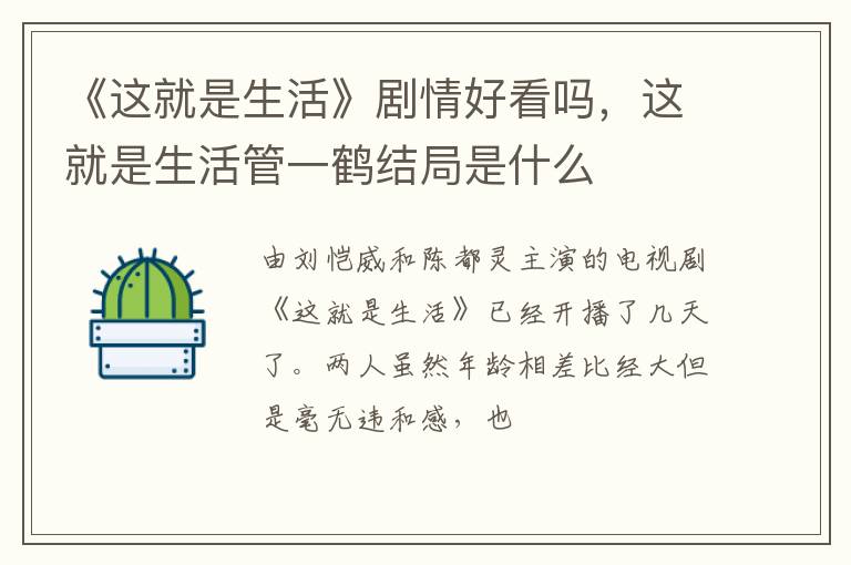 这就是生活管一鹤结局是什么 《这就是生活》剧情好看吗