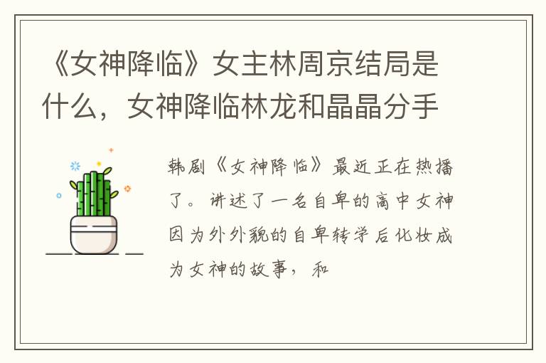 女神降临林龙和晶晶分手了吗 《女神降临》女主林周京结局是什么
