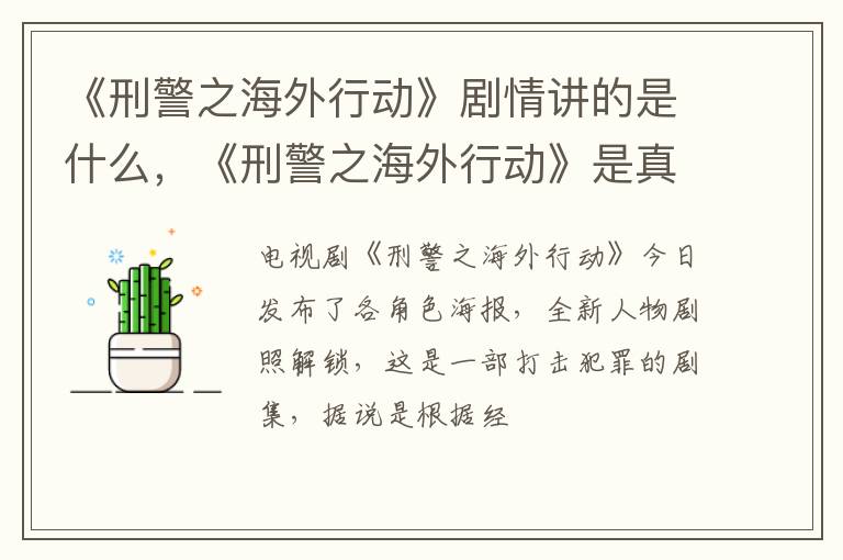 《刑警之海外行动》是真实案件改编的吗 《刑警之海外行动》剧情讲的是什么