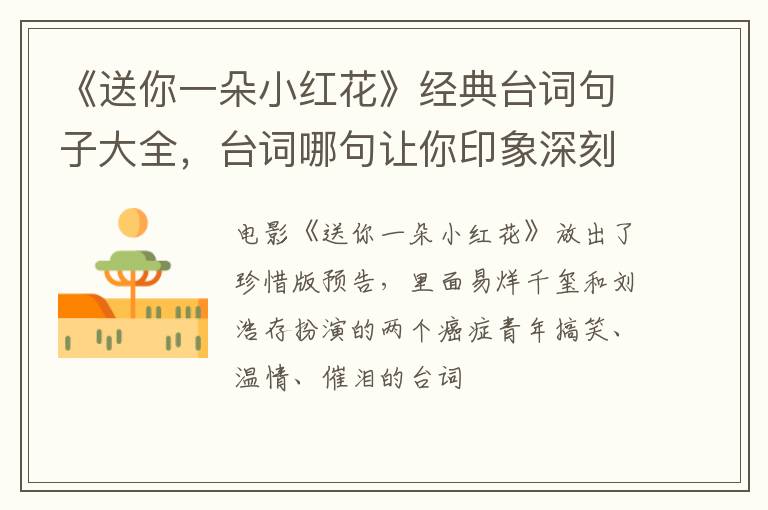 台词哪句让你印象深刻 《送你一朵小红花》经典台词句子大全