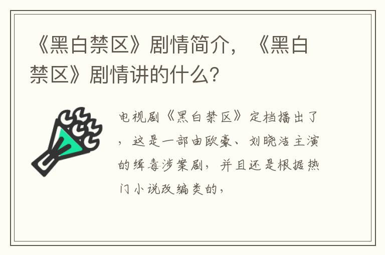 《黑白禁区》剧情讲的什么 《黑白禁区》剧情简介