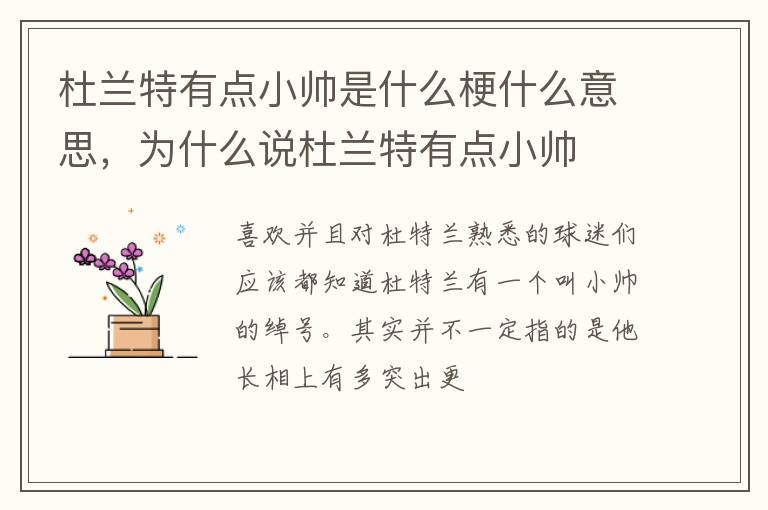 为什么说杜兰特有点小帅 杜兰特有点小帅是什么梗什么意思