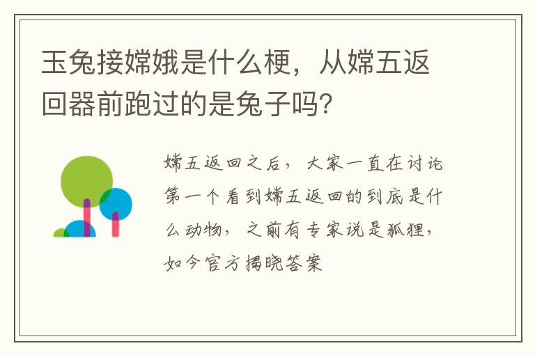 从嫦五返回器前跑过的是兔子吗 玉兔接嫦娥是什么梗