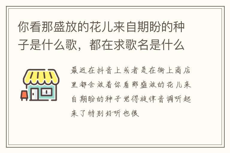 都在求歌名是什么 你看那盛放的花儿来自期盼的种子是什么歌