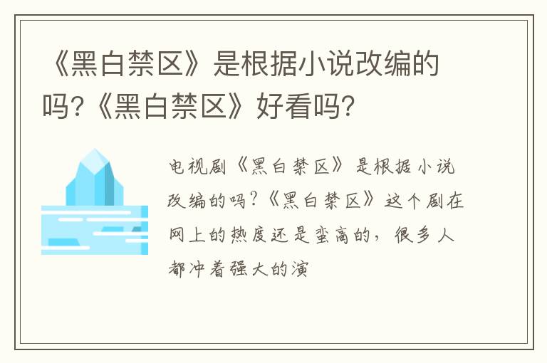 《黑白禁区》好看吗 《黑白禁区》是根据小说改编的吗