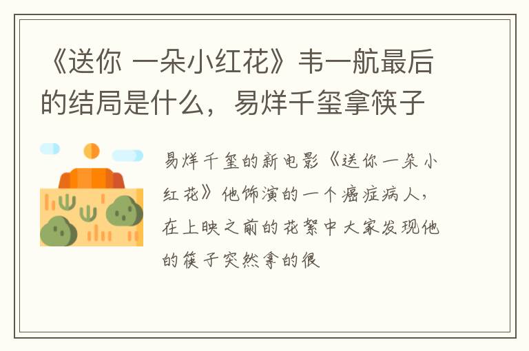 一朵小红花》韦一航最后的结局是什么 易烊千玺拿筷子细是什么意思 《送你
