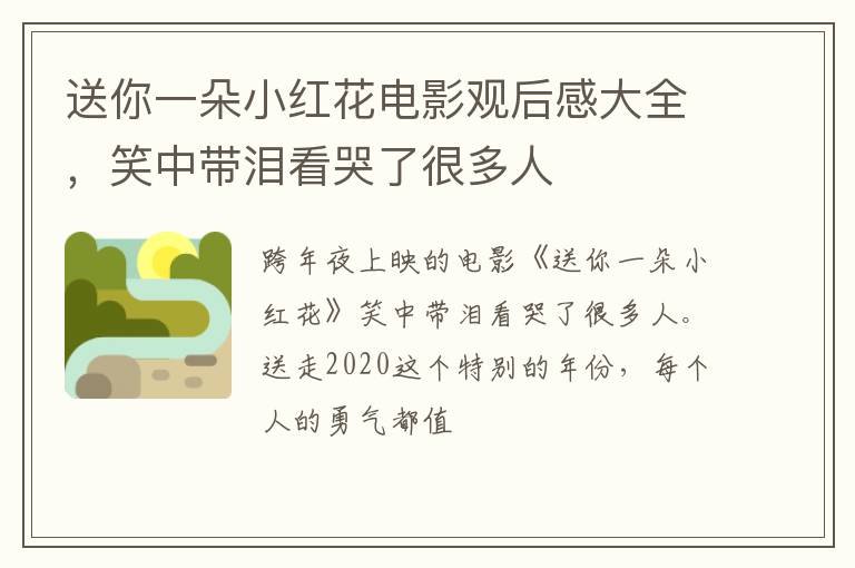 笑中带泪看哭了很多人 送你一朵小红花电影观后感大全