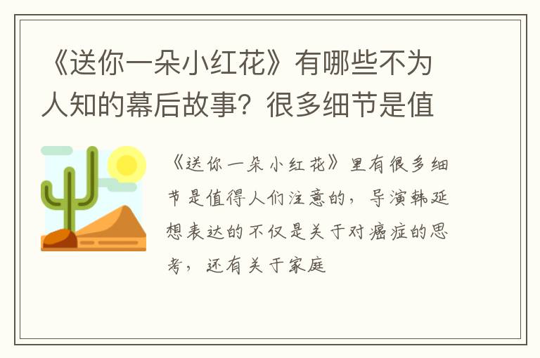 很多细节是值得人们思考 《送你一朵小红花》有哪些不为人知的幕后故事