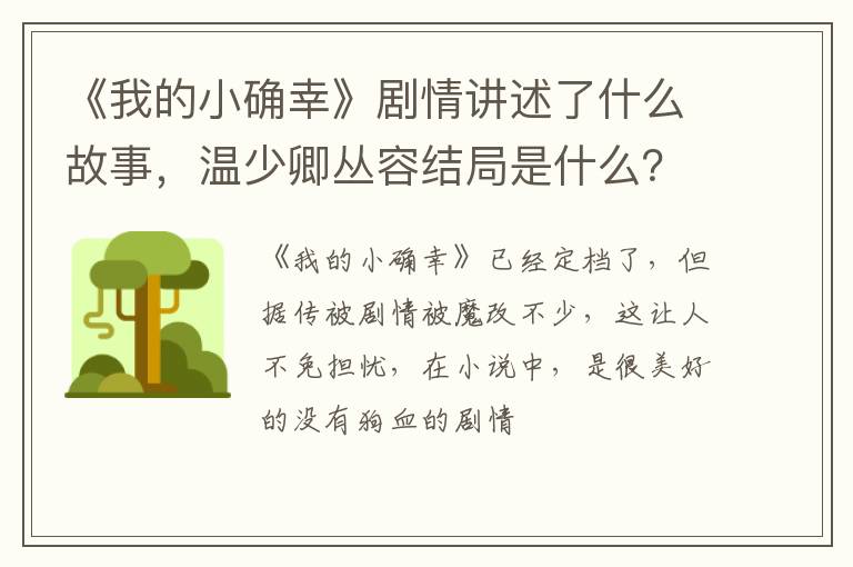温少卿丛容结局是什么 《我的小确幸》剧情讲述了什么故事