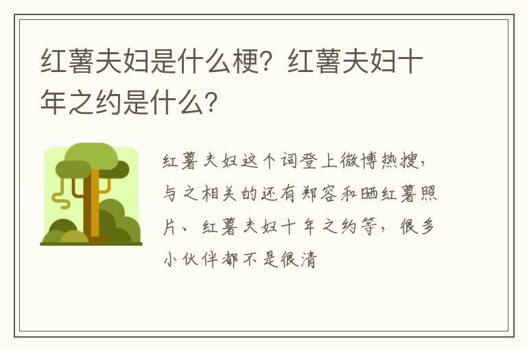 红薯夫妇十年之约是什么 红薯夫妇是什么梗
