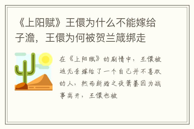 王儇为何被贺兰箴绑走 《上阳赋》王儇为什么不能嫁给子澹