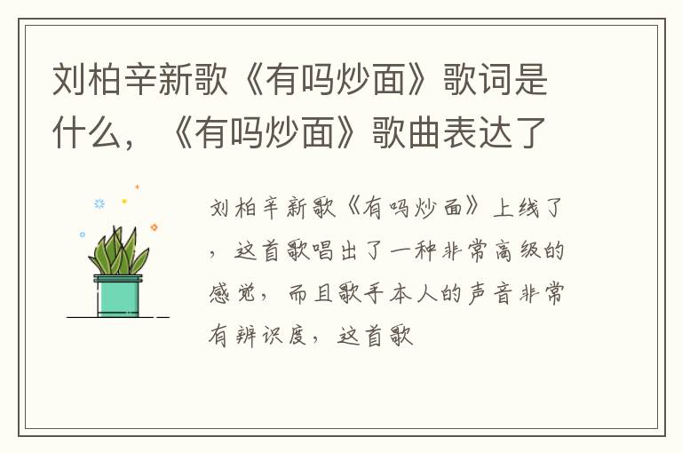 《有吗炒面》歌曲表达了什么含义 刘柏辛新歌《有吗炒面》歌词是什么