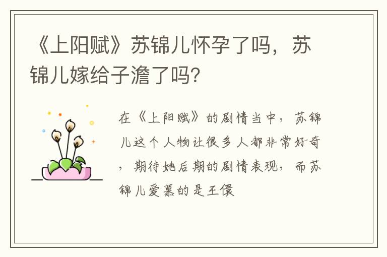 苏锦儿嫁给子澹了吗 《上阳赋》苏锦儿怀孕了吗