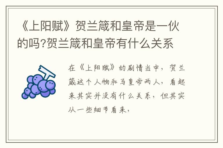 贺兰箴和皇帝有什么关系 《上阳赋》贺兰箴和皇帝是一伙的吗