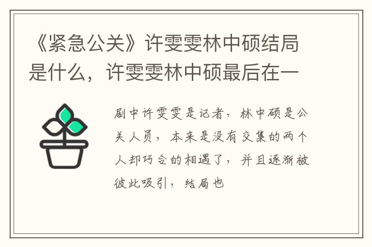 许雯雯林中硕最后在一起了吗 《紧急公关》许雯雯林中硕结局是什么