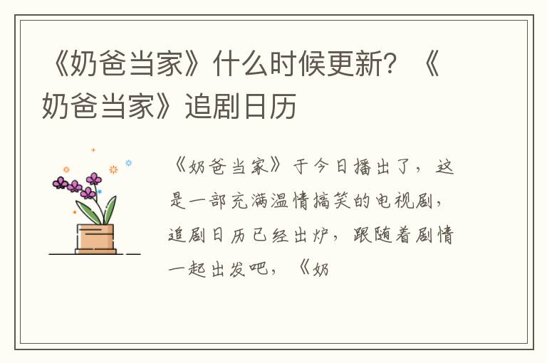 《奶爸当家》追剧日历 《奶爸当家》什么时候更新