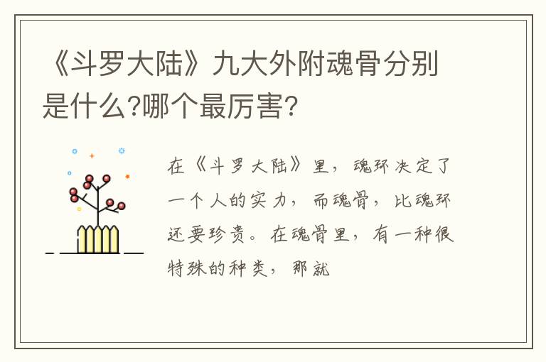 哪个最厉害 《斗罗大陆》九大外附魂骨分别是什么