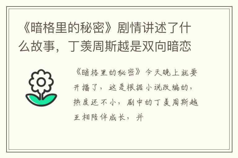 丁羡周斯越是双向暗恋吗 《暗格里的秘密》剧情讲述了什么故事