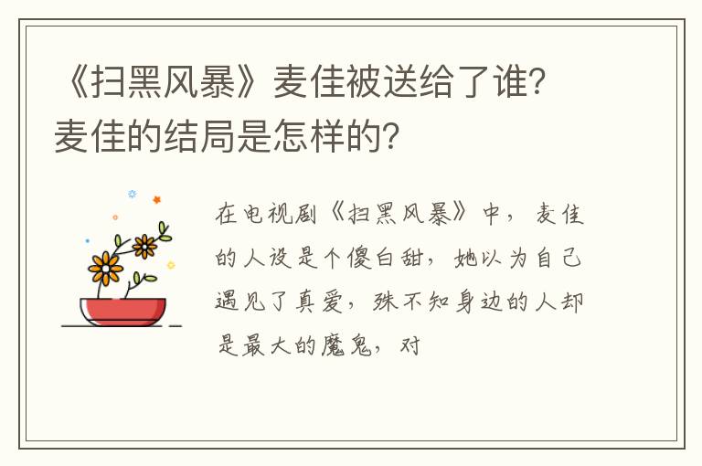 麦佳的结局是怎样的 《扫黑风暴》麦佳被送给了谁