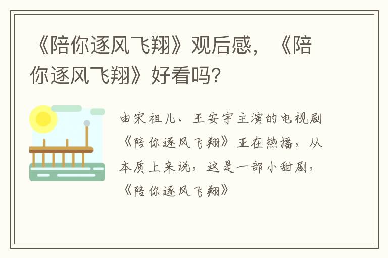 《陪你逐风飞翔》好看吗 《陪你逐风飞翔》观后感