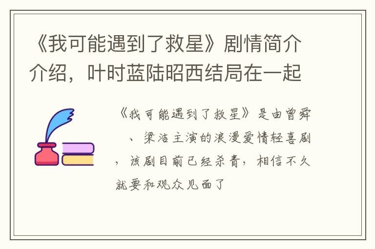 叶时蓝陆昭西结局在一起了吗 《我可能遇到了救星》剧情简介介绍