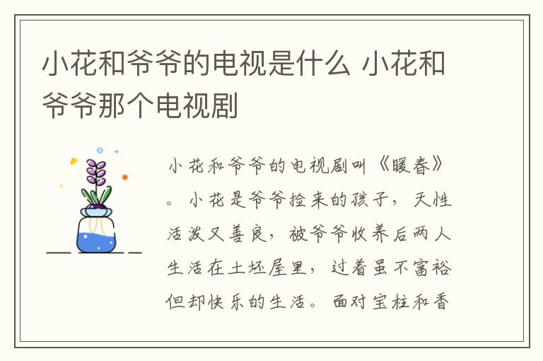 小花和爷爷那个电视剧 小花和爷爷的电视是什么