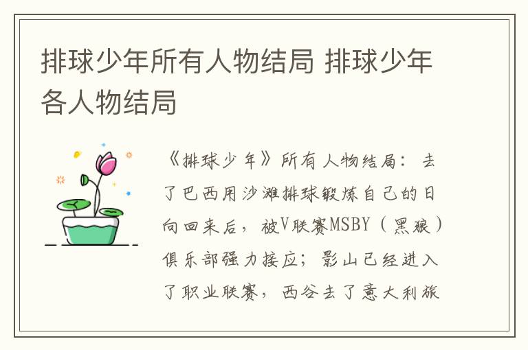 排球少年各人物结局 排球少年所有人物结局