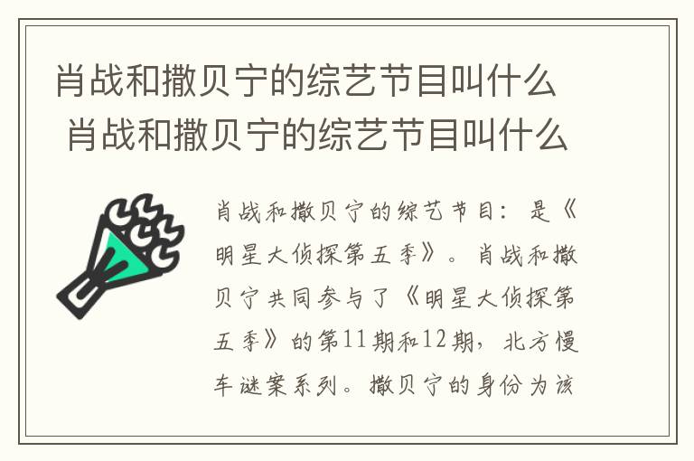 肖战和撒贝宁的综艺节目叫什么第几期 肖战和撒贝宁的综艺节目叫什么