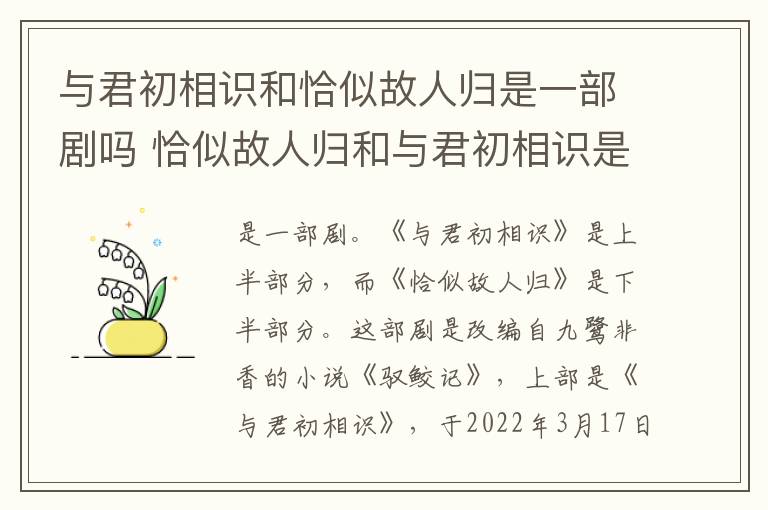 恰似故人归和与君初相识是两部剧吗 与君初相识和恰似故人归是一部剧吗