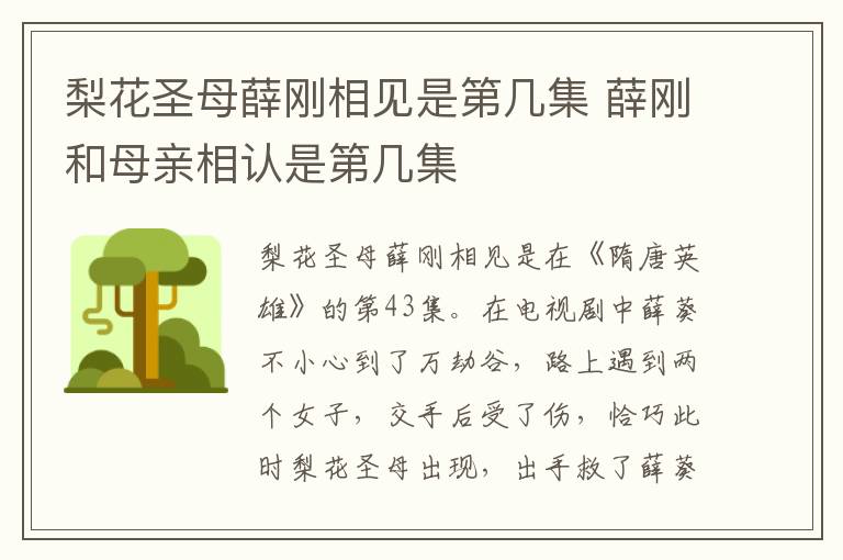 薛刚和母亲相认是第几集 梨花圣母薛刚相见是第几集