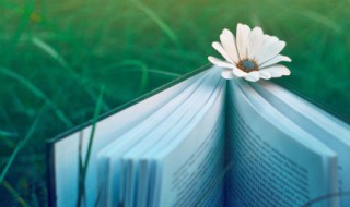 句句惊艳朋友圈必备 句句话入心入肺