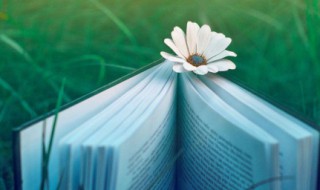 非常现实的6句话 句句扎心的6句话