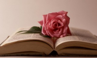 简单优美的句子集锦 简单美好的句子