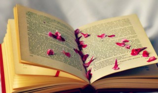 守信用的句子 信用句子