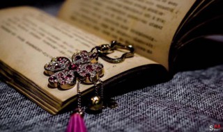 历史上被称为先生的女性都有哪位 历史上被称为先生的女性都有谁