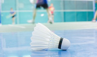 春节打羽毛球祝福语有哪些 春节打羽毛球祝福语