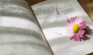 明朝那些事张居正万历介绍 明朝那些事张居正万历