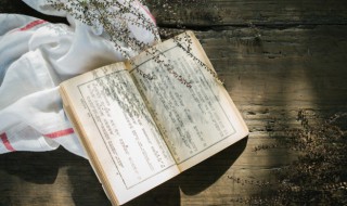出自古诗的笔名有哪些 出自古诗的淡雅笔名二字