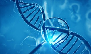 有哪些是寄生关系的生物 寄生关系的生物有哪些