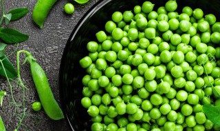 豌豆为什么是双子叶植物 请问豌豆为什么是双子叶植物