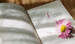 秦国的哪些制度商鞅变法废除了 商鞅变法废除了秦国的哪些制度