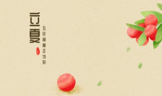 立夏过后还能种植哪些菜 立夏过后还能种植什么菜