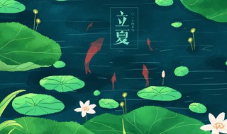 广东立夏过后能种什么东西 广东立夏过后能种什么